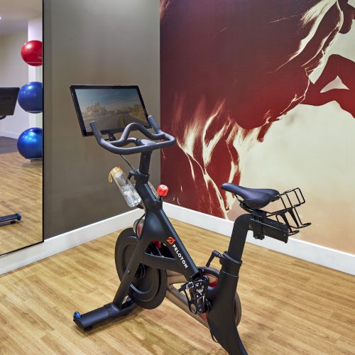 The image shows a stationary exercise bike in a room with mirrors, fitness balls, and a wall mural of a rock climber.