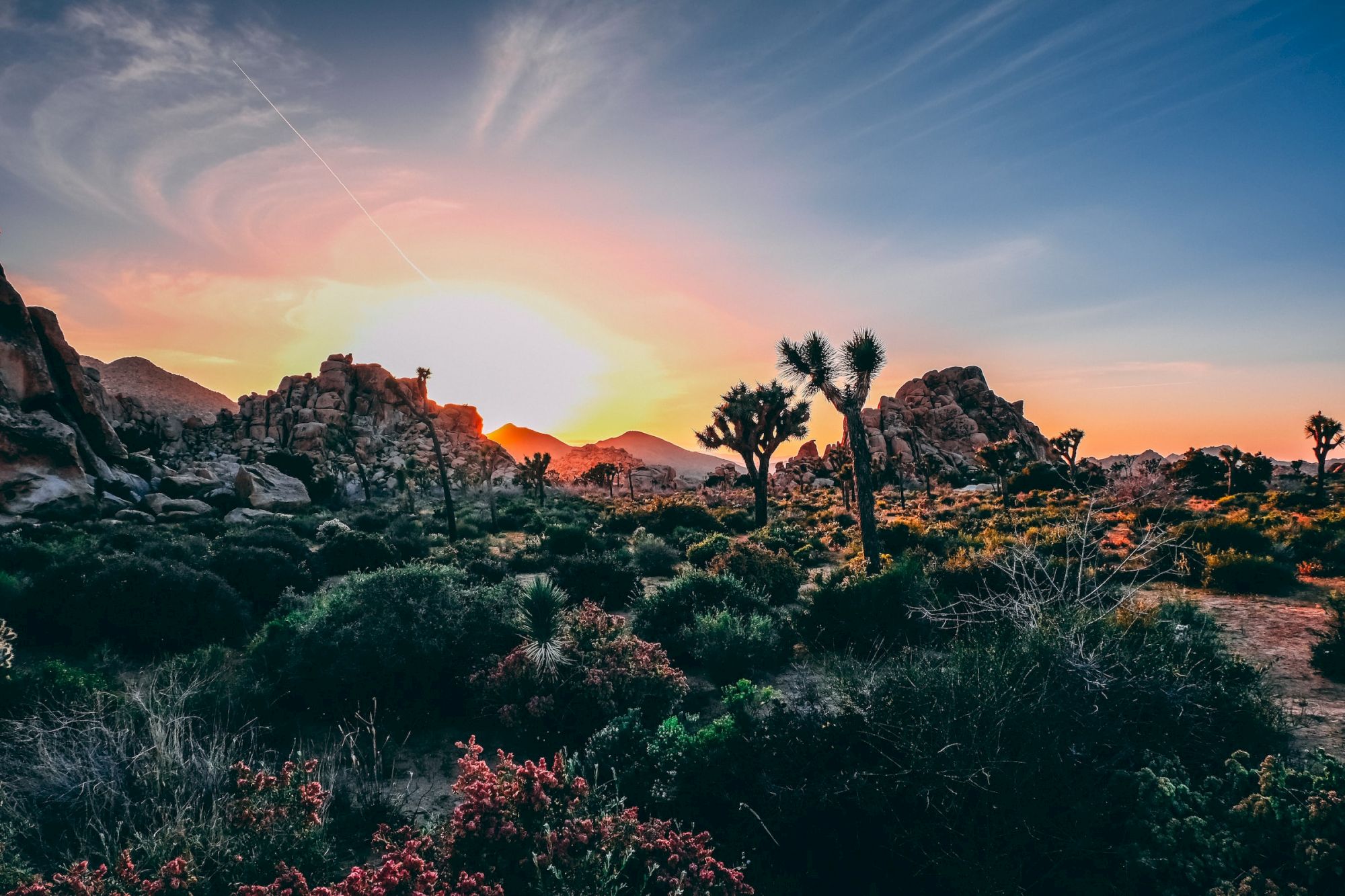 A desert landscape at sunset with rocky formations, plants, and a colorful sky in the background.