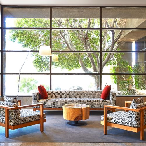 A modern lounge with a sofa, two chairs, a wooden coffee table, and large windows revealing a view of a tree.