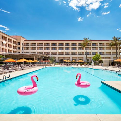 A hotel swimming pool with inflatable pink flamingos, surrounded by lounge chairs and orange umbrellas under a clear blue sky.