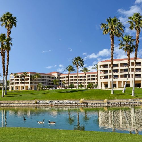 A resort with palm trees, a pond, and ducks, under a clear blue sky, showcasing a tranquil and sunny setting.