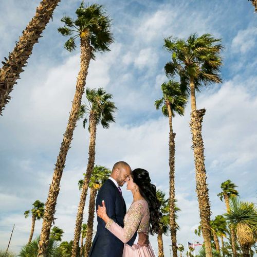 A couple embraced under tall palm trees, set against a partly cloudy blue sky.