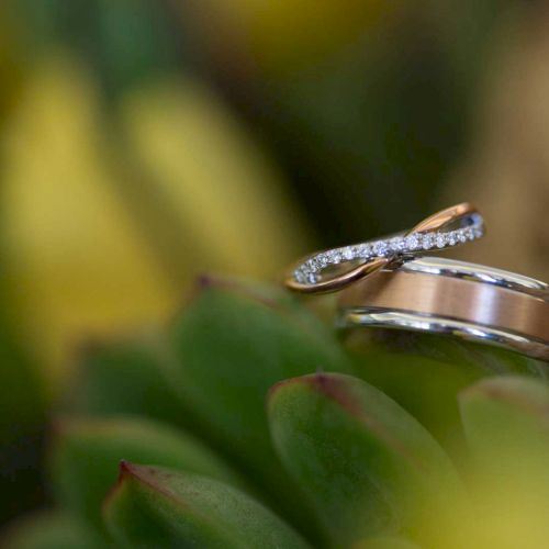 A pair of intertwined gold rings, one with small diamonds, resting on green leaves with a blurred background.